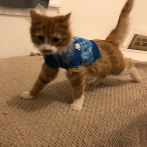 Meet your Posher, Nathan